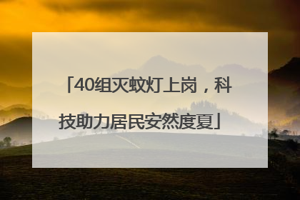 40组灭蚊灯上岗，科技助力居民安然度夏