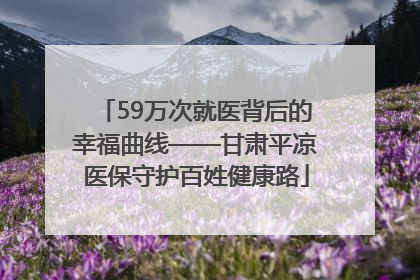 59万次就医背后的幸福曲线——甘肃平凉医保守护百姓健康路
