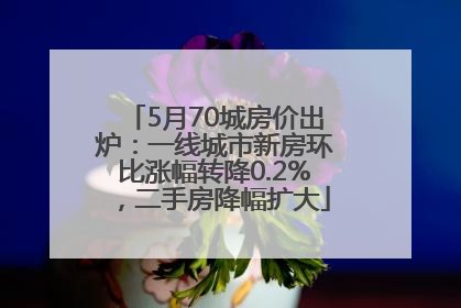 5月70城房价出炉：一线城市新房环比涨幅转降0.2%，二手房降幅扩大