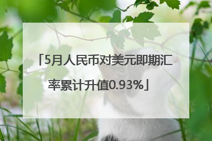 5月人民币对美元即期汇率累计升值0.93%