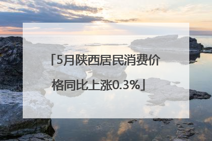 5月陕西居民消费价格同比上涨0.3%