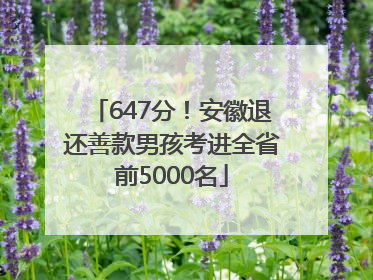 647分！安徽退还善款男孩考进全省前5000名