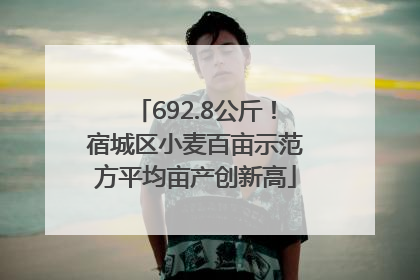 692.8公斤！宿城区小麦百亩示范方平均亩产创新高