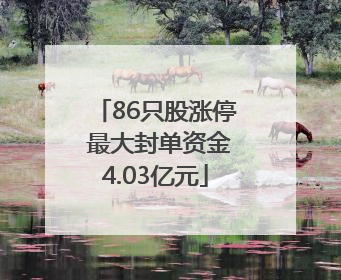 86只股涨停 最大封单资金4.03亿元