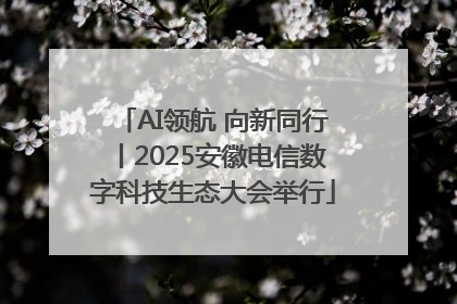 AI领航 向新同行丨2025安徽电信数字科技生态大会举行